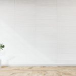 Plant against a white wall