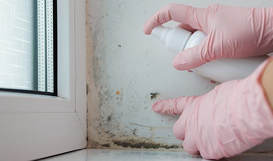 mississauga commercial