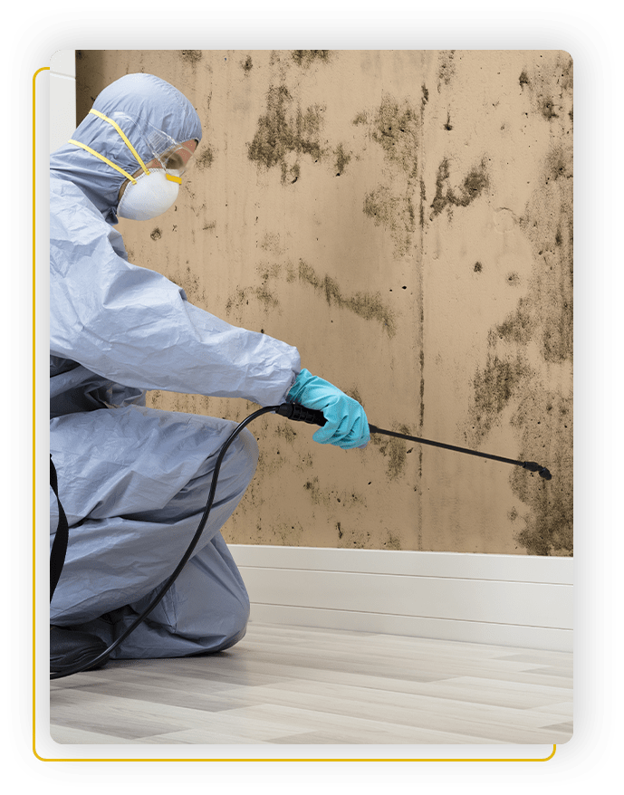 mould inspection burlington