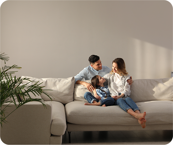 mould remediation services in hamilton