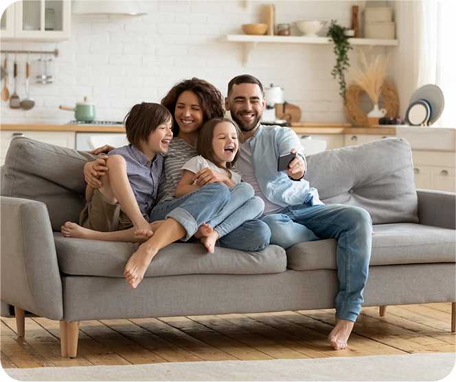 mould remediation services in london