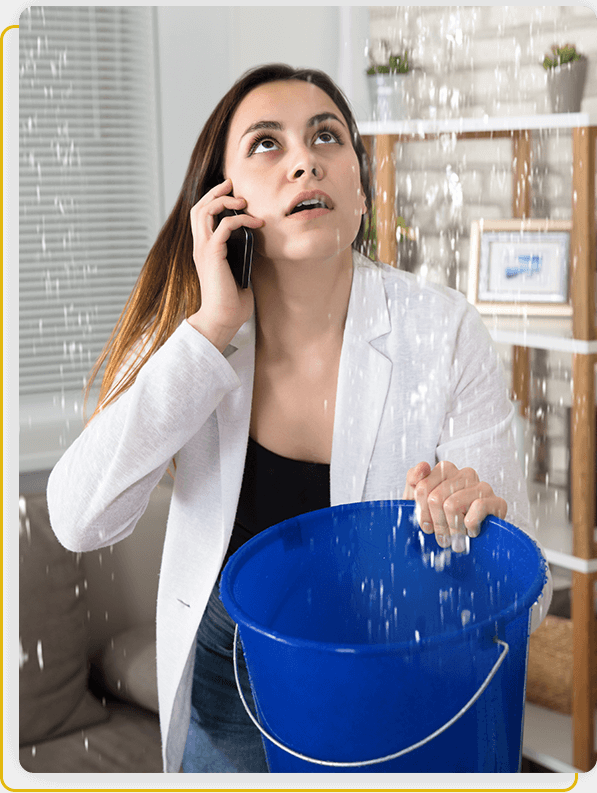 Benefits of professional mould