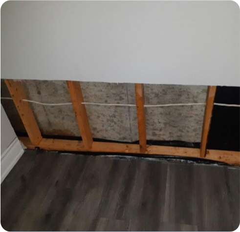 Mould Remediation
