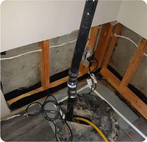 Mould Remediation