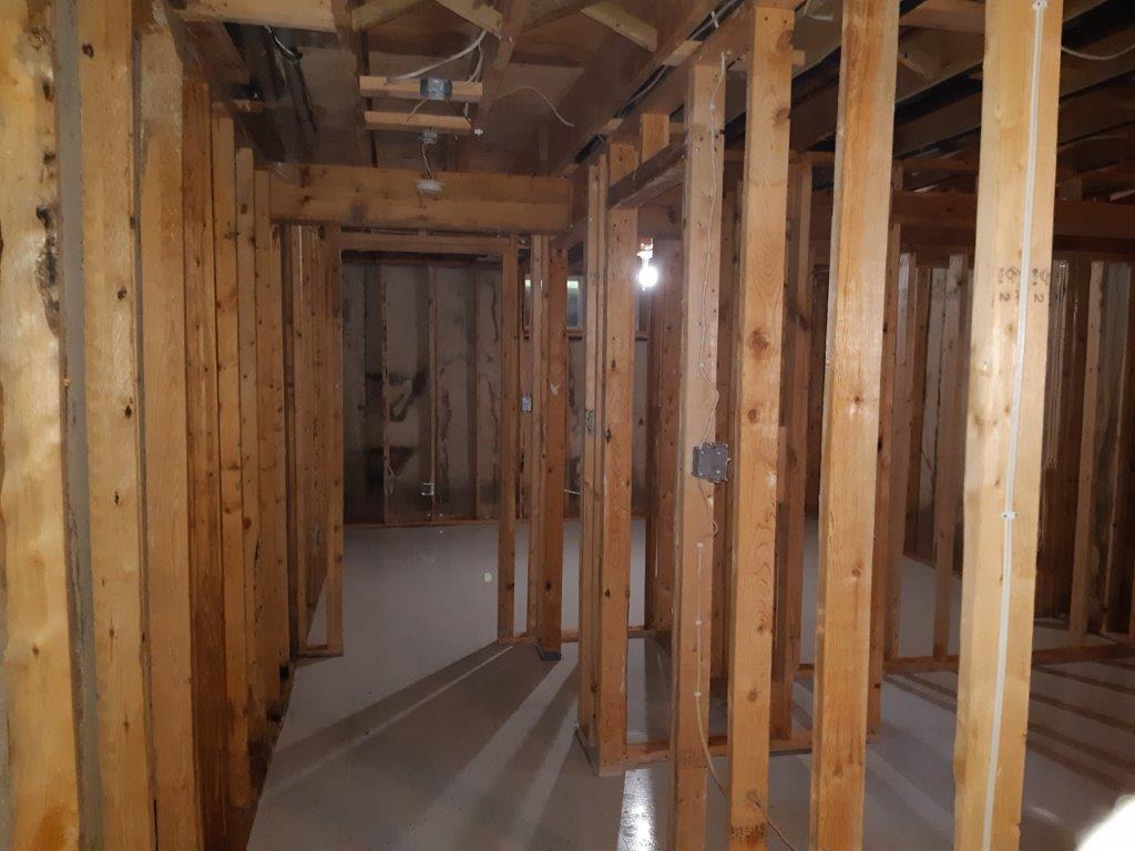 Professional asbestos removal services