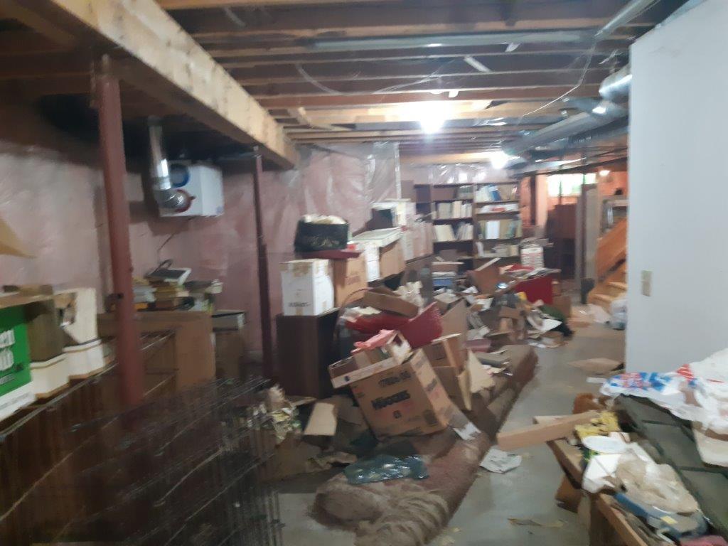 Professional asbestos removal services