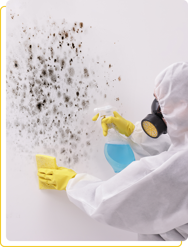 Benefits of professional mould