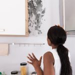 Mould issue in renovated home