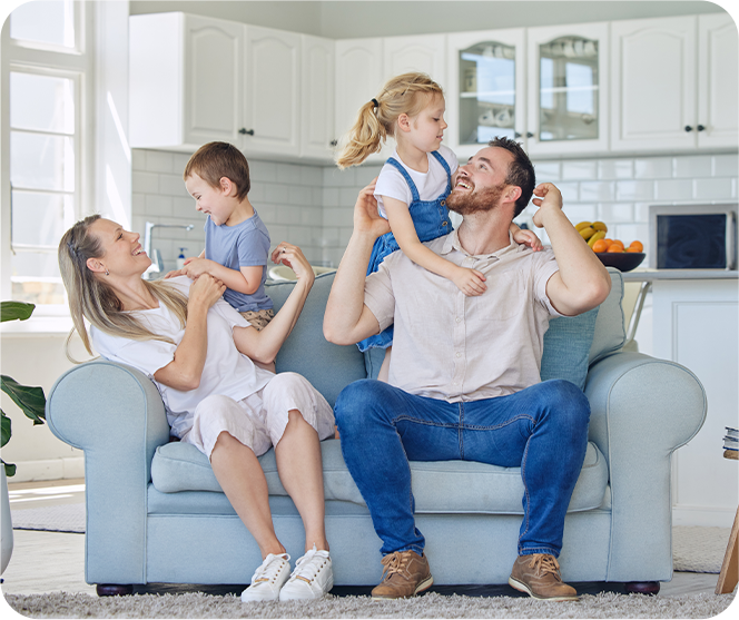 mould free home brampton