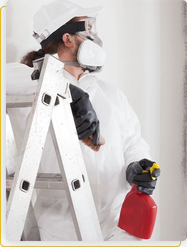 mould remediation services oshawa
