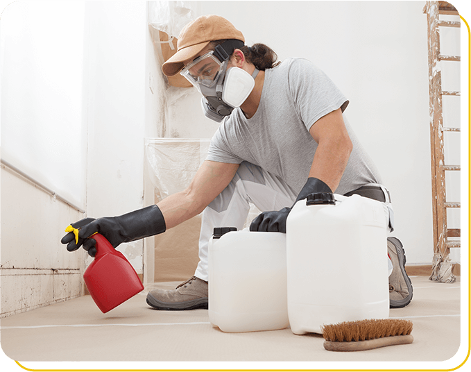 mould removal company oshawa